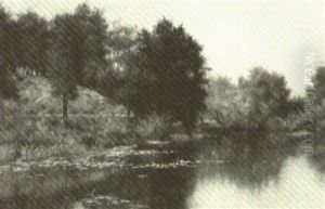 Summer Landscape With Pond