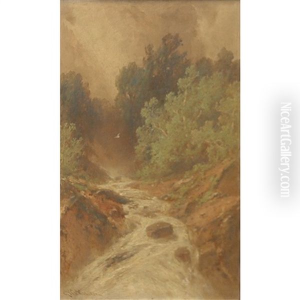 Falls Of The Bushkill - view 1