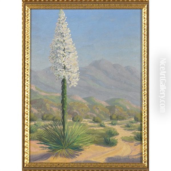 A Blooming Yucca In The Desert - view 1