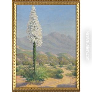 A Blooming Yucca In The Desert