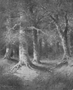 Interior Of A Forest Interior Of A Forest