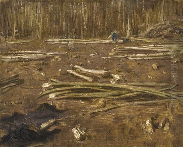 Woodland - view 1