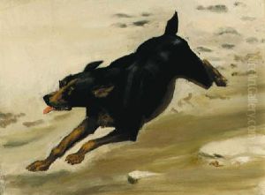 A Dog In The Snow