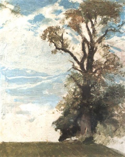An Old Elm, Blewbury, Berkshire - view 1