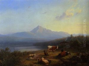 Alpenseelandschaft Mit Weidendem Vieh In Der Morgensonne
