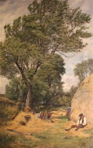 A Breezy Summer Day