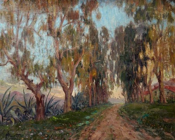 Allee D'eucalyptus Et D'aloes, Cavignac - view 1