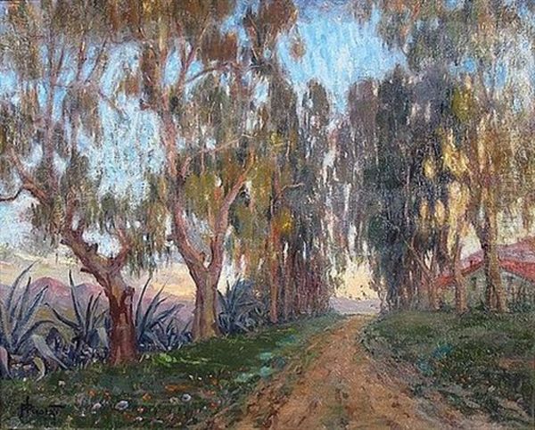 L"allee Des Eucalyptus A Cavignac - view 1