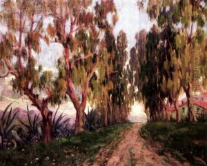 Allee Des Eucalyptus Et Aloes