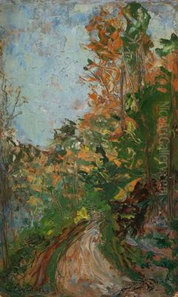 Stradina - view 1