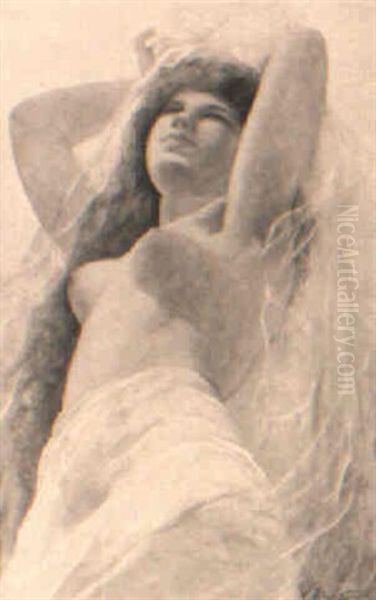 Dance Of The Seven Veils - view 1