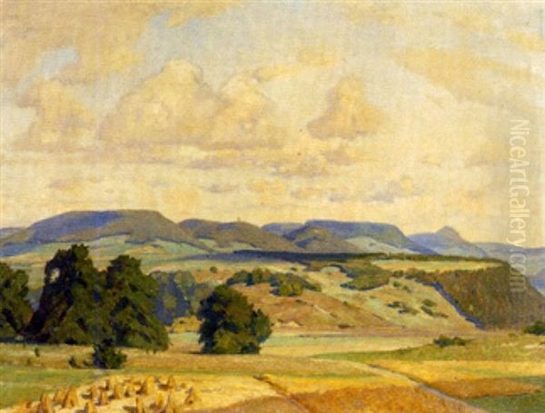 Besonnte Sommerliche Hugellandschaft Mit Erntefeld - view 1