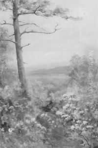 Mountain Laurel, New Hampshire by Helen Nicolay