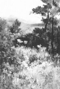 Poppies, A Holderness Garden On Shepard Hill by Helen Nicolay