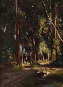 Sprazzi Di Sole by Edoardo Nicolello