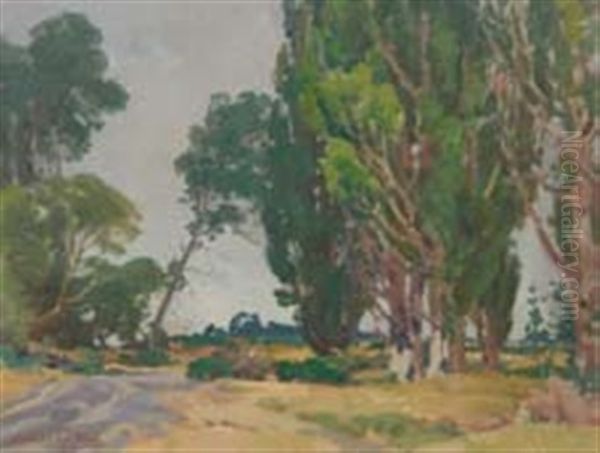 Poplars Murphy's Ford - view 1