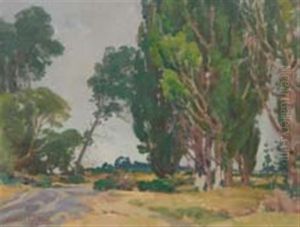 Poplars Murphy's Ford