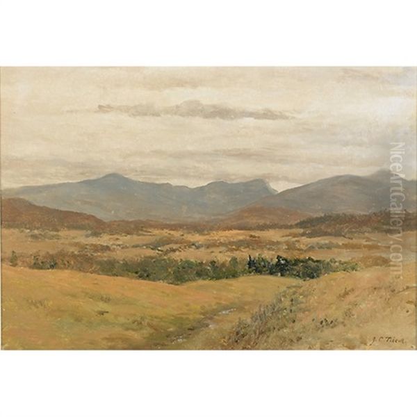 Landscapes (2 Works) - view 1
