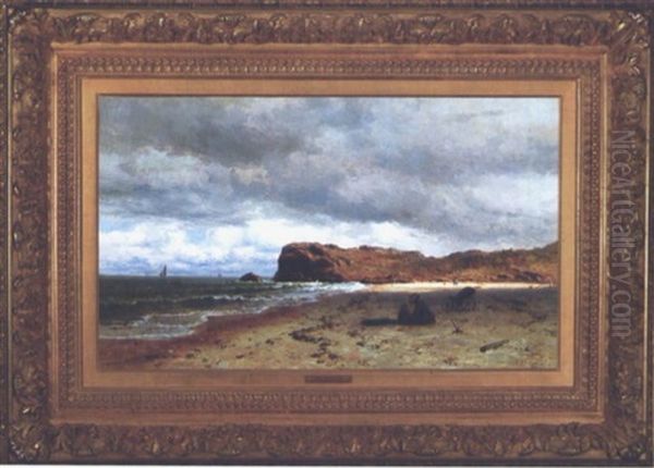 Bass Rocks, Gloucester - view 1