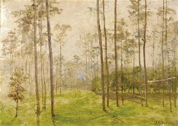 Autumn Forest - view 1