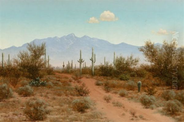 Indian Oasis, Arizona - view 1