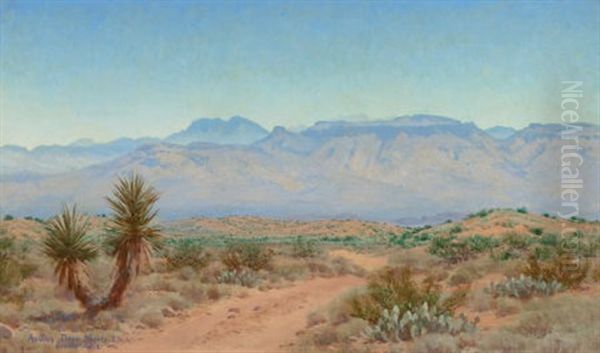 Oracle Arizona - view 1