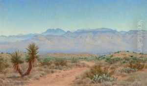 Oracle Arizona
