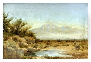 The Water Hole