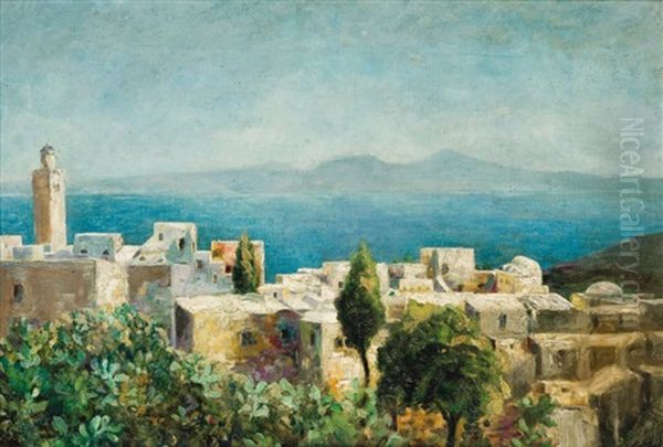 Vue De Sidi Bou-said - view 1