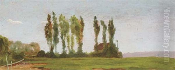 Cypres A Lutterbach - view 1