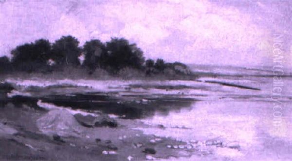 Flache Uferpartie - view 1
