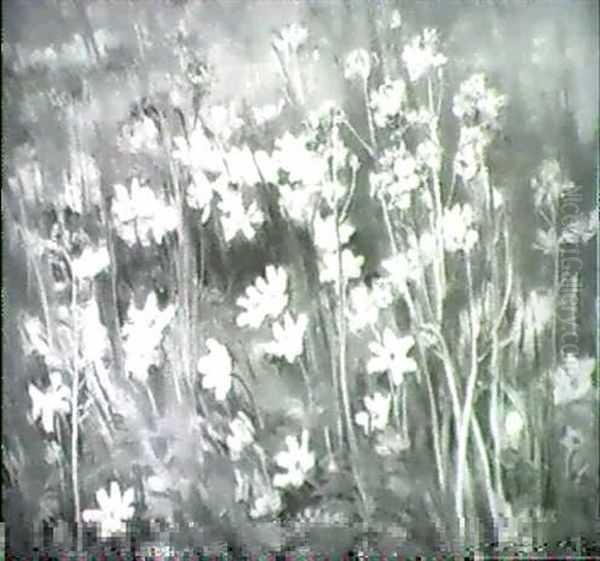 Wiesenblumen - view 1