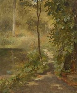 Waldlichtung