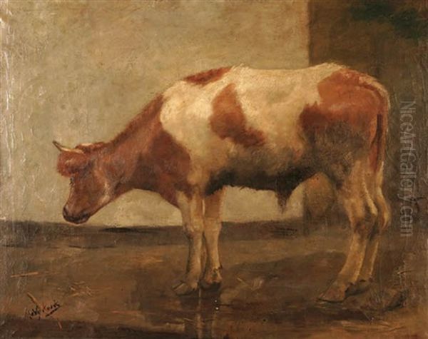 A Cow - view 1