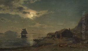 Kystlandskap I Maneskinn