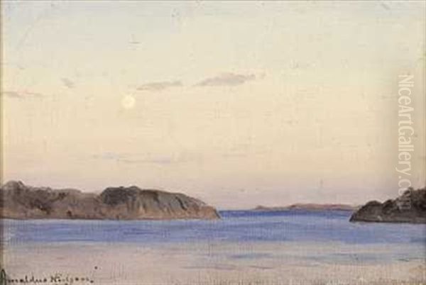 Fra Skjaergarden Ved Ny-hellesund - view 1