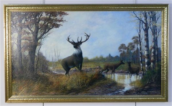 Elk In Landscape - view 1