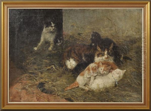 Katze Mit Jungen Im Heu - view 1