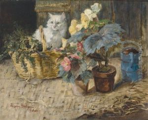 Weise Perserkatze Mit Begonienbluten Und Korb Weise Perserkatze Mit Begonienbluten Und Korb