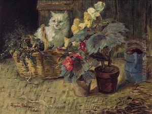 Begonienbluten Und Weise Katze Im Sonnigen Licht Begonienbluten Und Weise Katze Im Sonnigen Licht