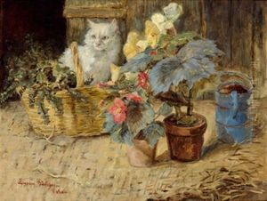 Katze Im Korb Und Blumentopfe