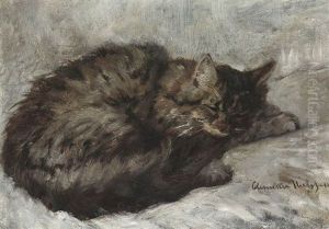 Bildnis Eines Schlafenden Angorakatzchens by Clemence Nielssen