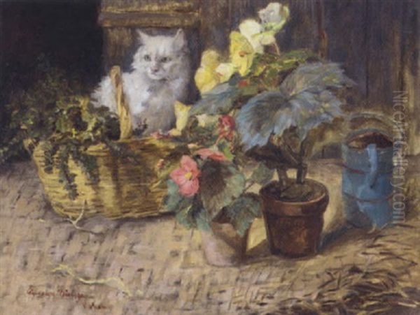 A White Cat By The Potting Shed - view 1