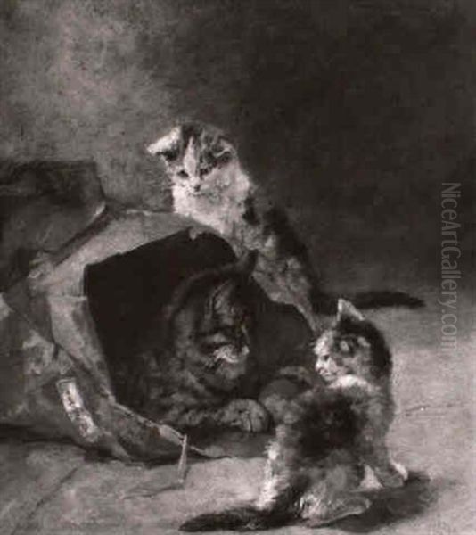 Katze Mit Ihren Jungen - view 1