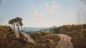 Pathway Through An Extensive Wooded Landscape