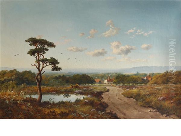 Woking Common Going Towards Purford - view 1