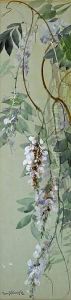 Wisteria