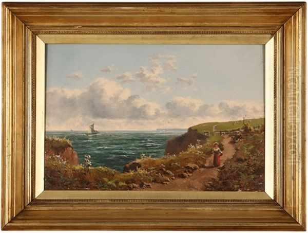On The Coast Of Devonshire - view 1