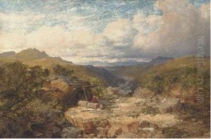 Near Dolgelly, North Wales by Edmund John Niemann