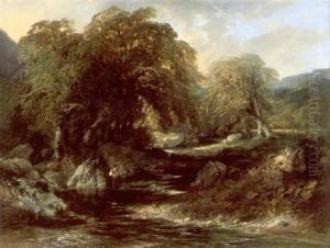Man Fishing Within A Wooded River Landscape Man Fishing Within A Wooded River Landscape